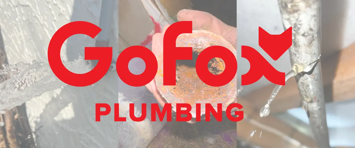 When to Call a Plumber showing a professional GoFox plumber inspecting household plumbing, representing reliable local plumbing services in New Zealand.