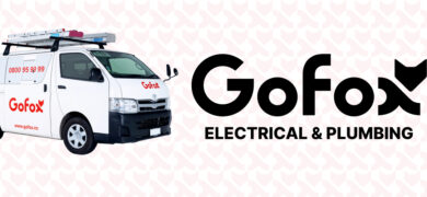 Do you lose control in a franchise – GoFox branded electrical and plumbing service van with logo displayed on a clean background