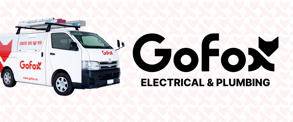 Do you lose control in a franchise – GoFox branded electrical and plumbing service van with logo displayed on a clean background
